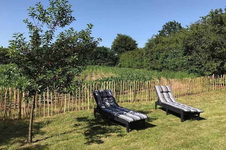 Ferienhaus für 4 Personen, mit Garten und Terrasse in Dollerup - 3