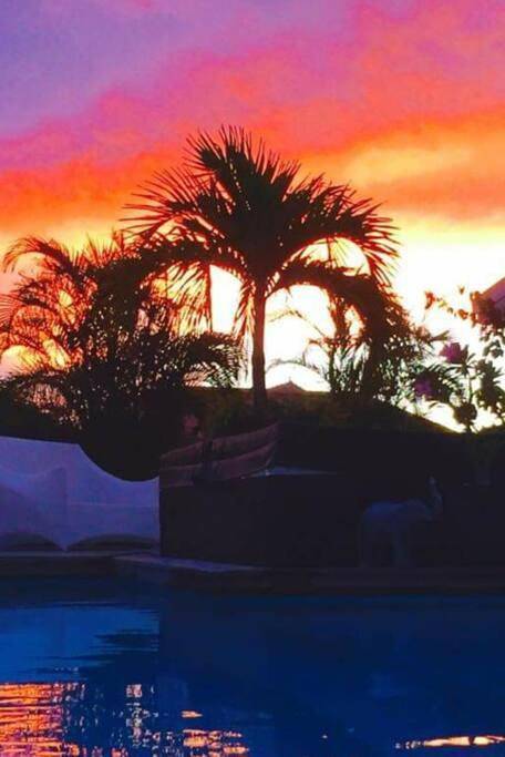 Villa pour 8 personnes, avec jardin ainsi que jacuzzi et piscine en Martinique - 3