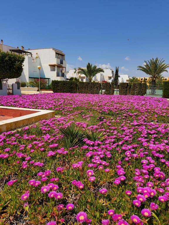 Apartamento entero, Ct 369 Al - Faro's Apartmento Naturista - Primera Linea Vera Playa - Id 799 in Playas de Vera, Vera