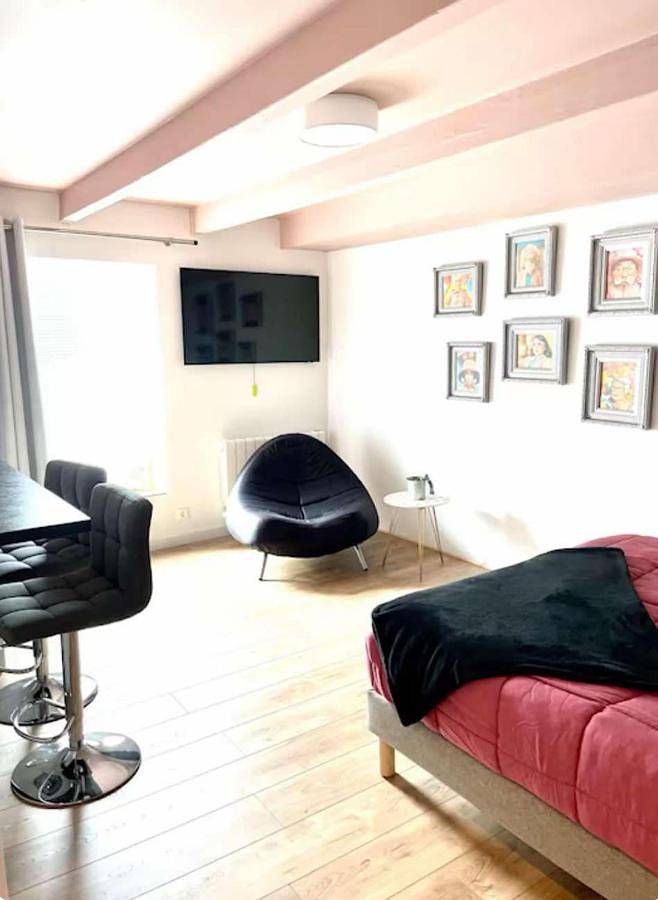 Gîte pour 2 personnes, animaux acceptés à Saint-Thurien - 4