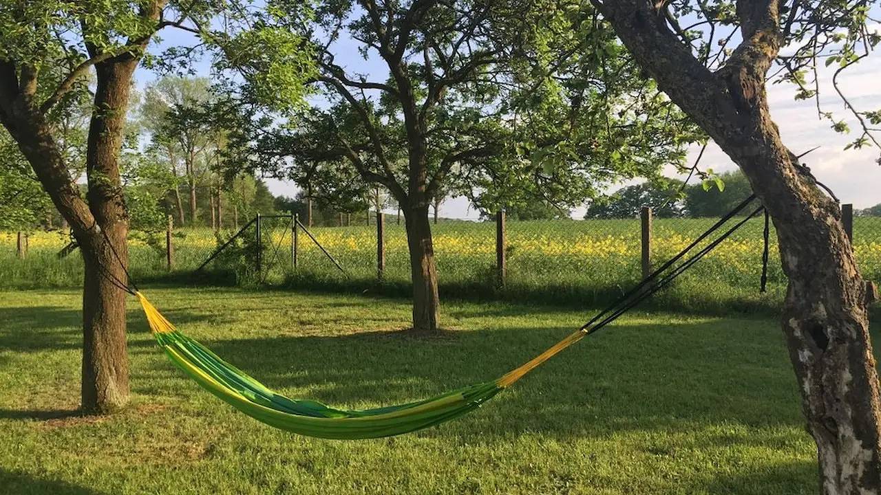 Bauernhof für 10 Personen (350 m²) in Stadt Crivitz in Crivitz, Ludwigslust-Parchim