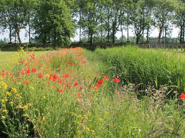 Gemütliche Ferienwohnug in Diemen, Holländische Küste