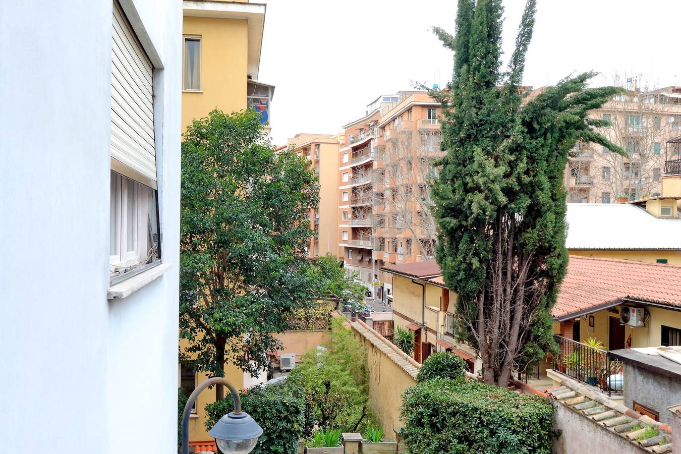 Cozy Domar, foto 9