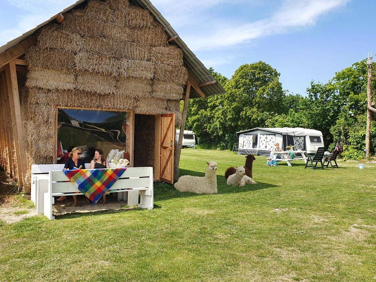 Minicamping Aan de Waterspiegel in Aagtekerke, Walcheren