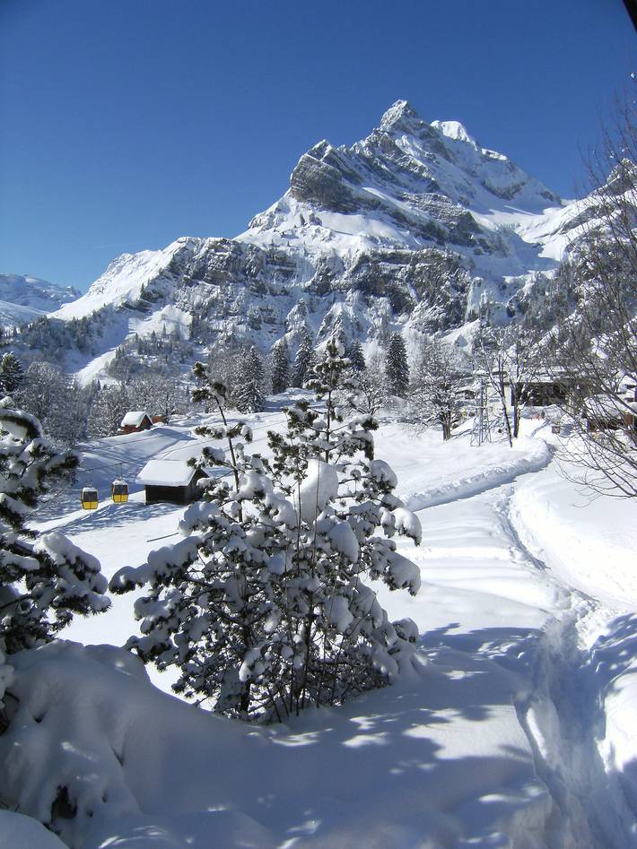 Ganze Ferienwohnung, Im Hüttenberg Nr. 36 - 3.5-Zimmer Ferienwohnung in Braunwald, Glarus Süd
