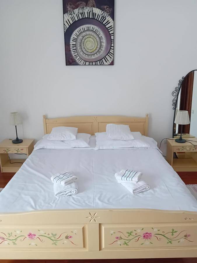 Maison d’hôte pour 24 personnes, avec jardin et vue dans Bicaz