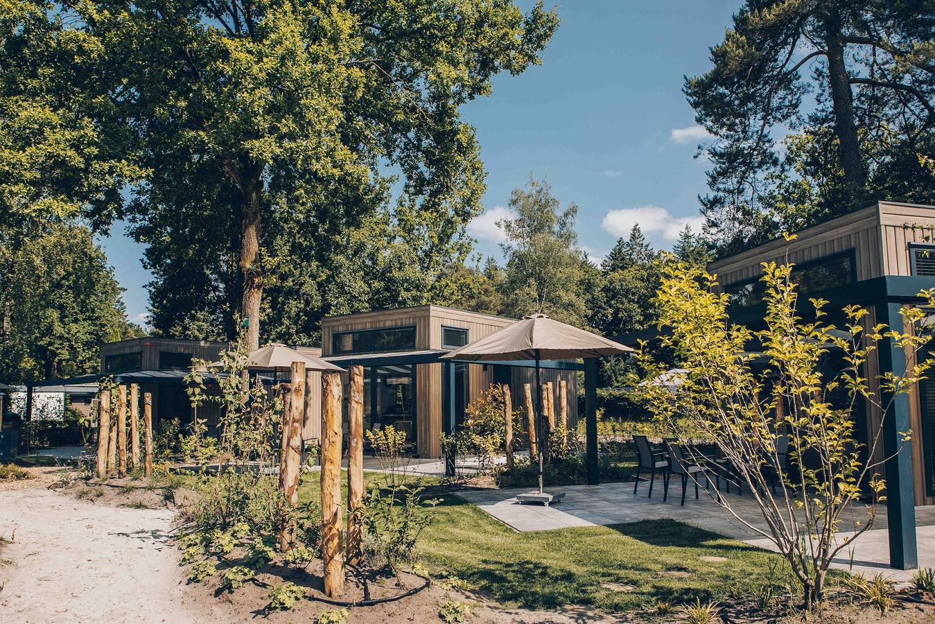 Veluwepark de Bosgraaf — Reeëndal Lodge | 4 personen in Veluwe