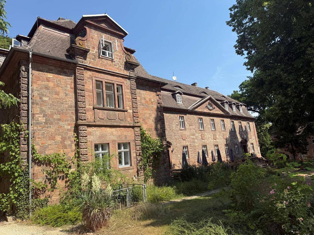 Ganze Wohnung, Schloss Zingst in Querfurt, Saale-Unstrut