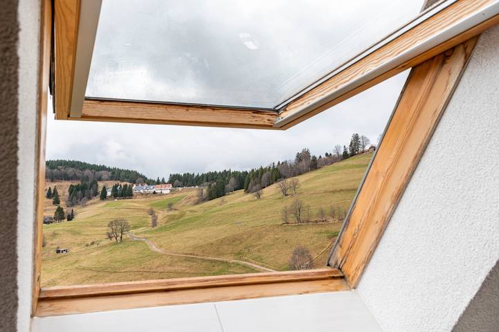 Gîte pour 2 personnes, avec jardin, animaux acceptés dans Todtnauberg - 3