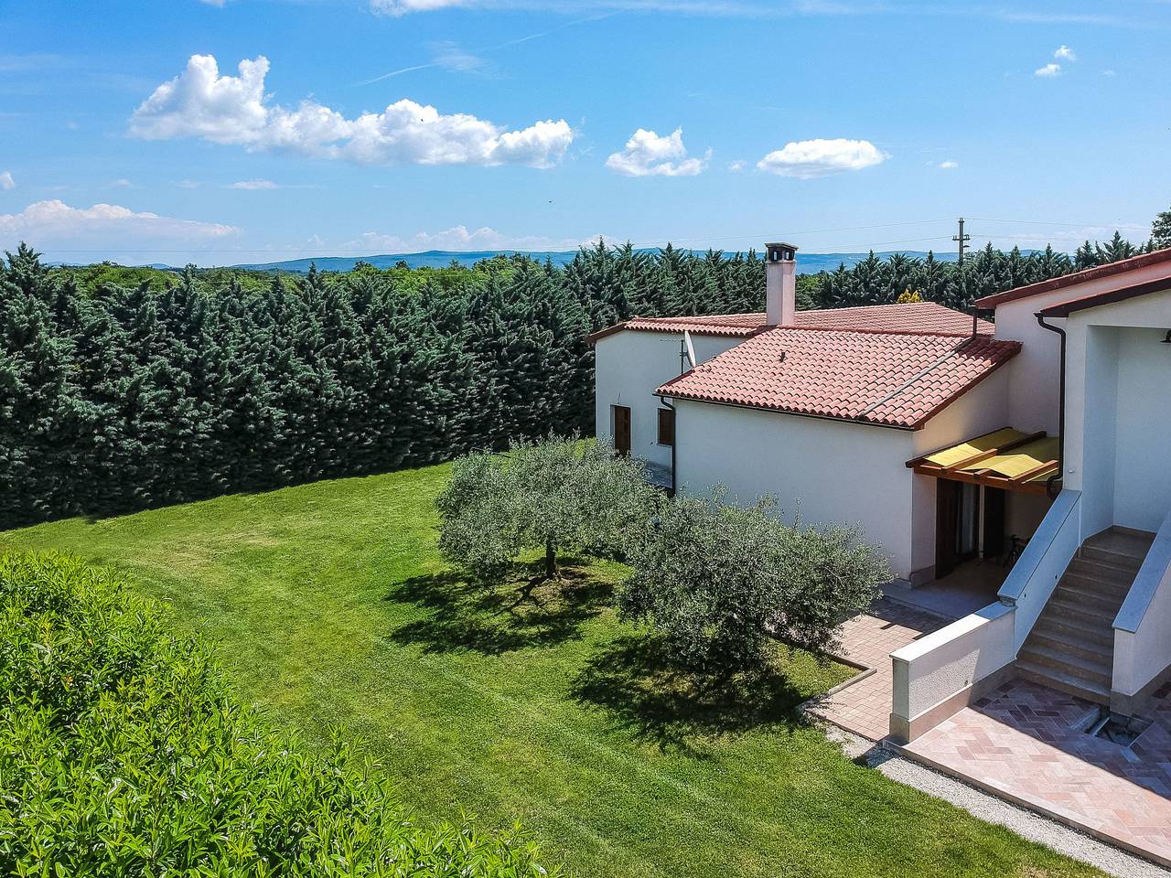 Lupetina in Costa meridionale dell´Istria