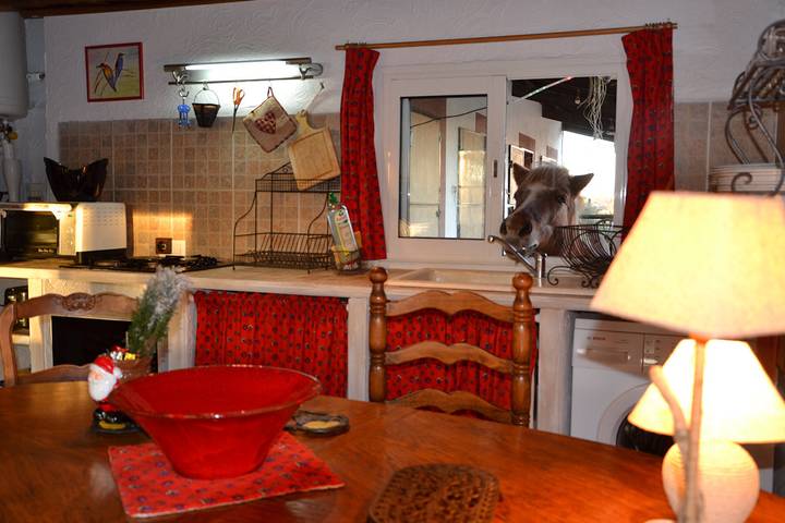 Gîte pour 4 personnes, avec jardin et terrasse, animaux acceptés à Saintes-Maries-de-la-Mer - 2