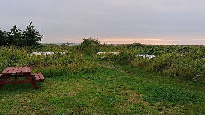 Ferienhaus für 5 Personen, mit Terrasse in Skjern - 4