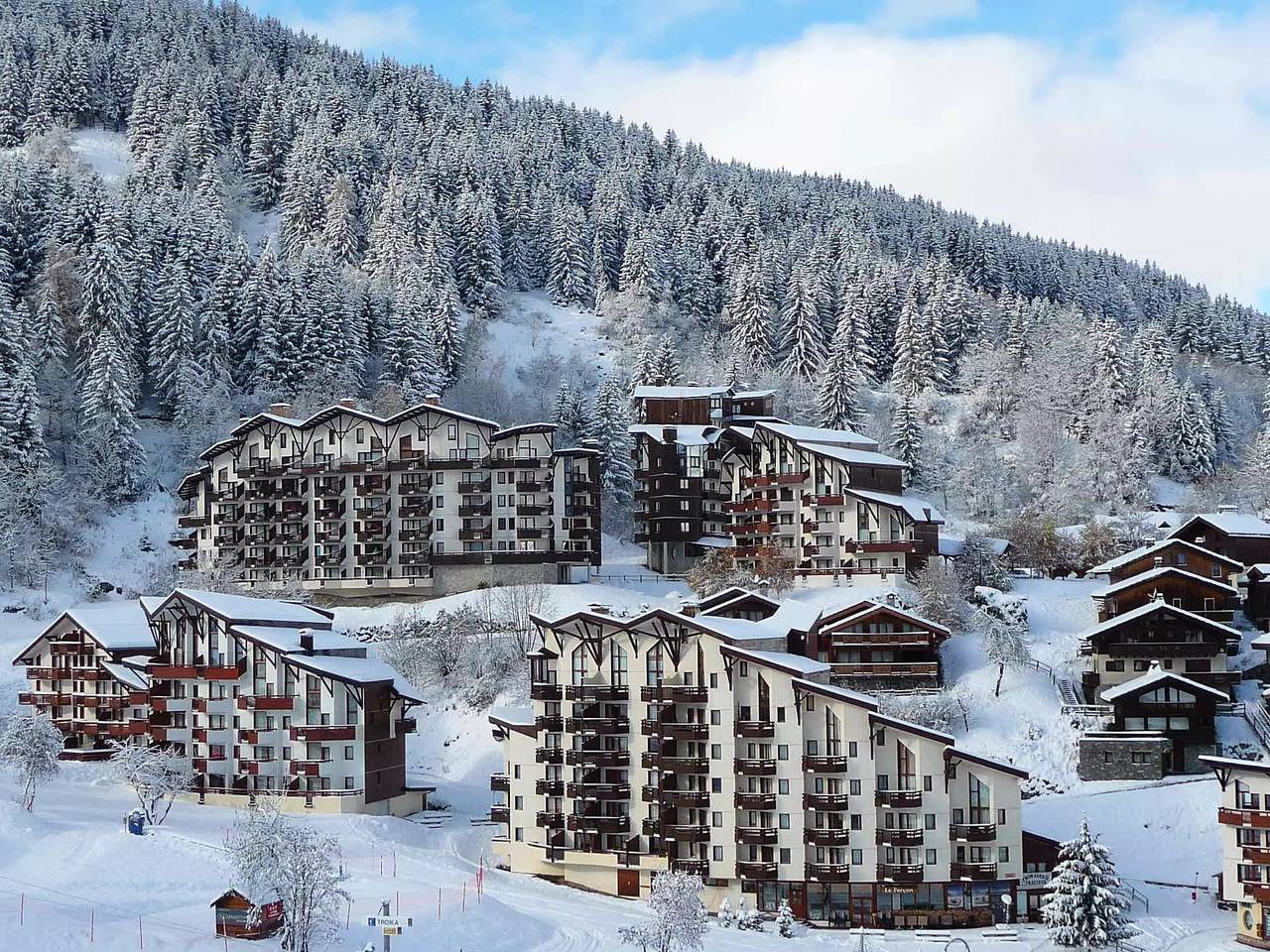 Appartement entier, 2 Pieces Expose Sud Est, Avec Depart Skis Aux Pied in La Tania, La Perrière