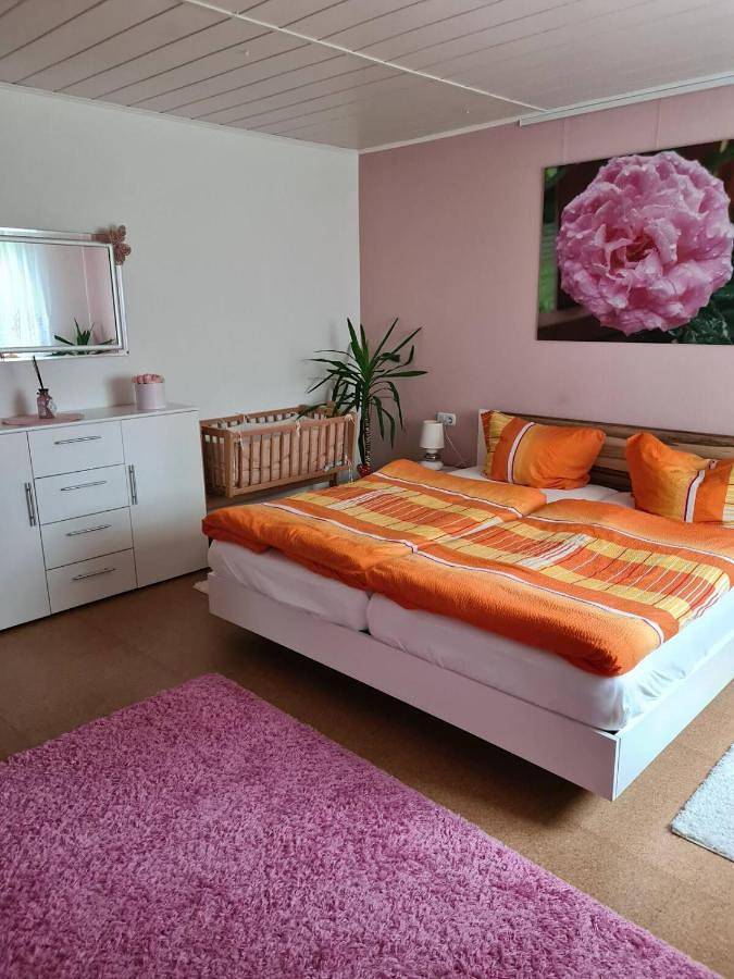 Ferienwohnung für 4 Personen in Neuweiler