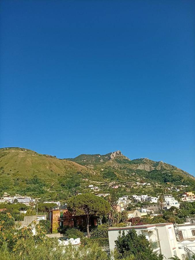 Villa Thomas Bb conduzione familiare in Forio, Ischia