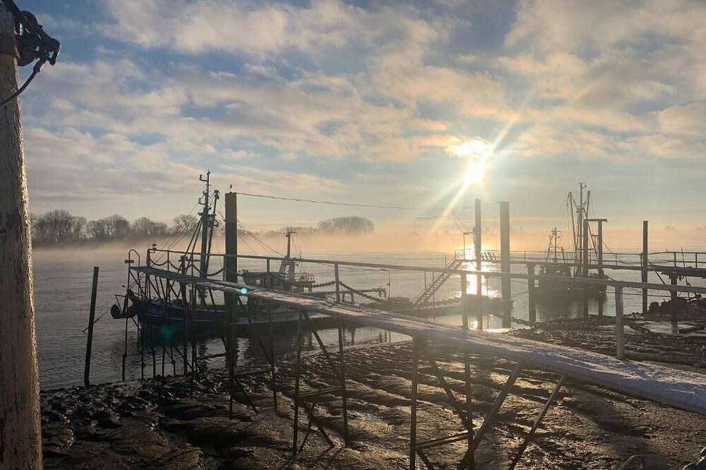 Ganze Wohnung, Familien-Apartment direkt am Wasser in Unterweser, Brake