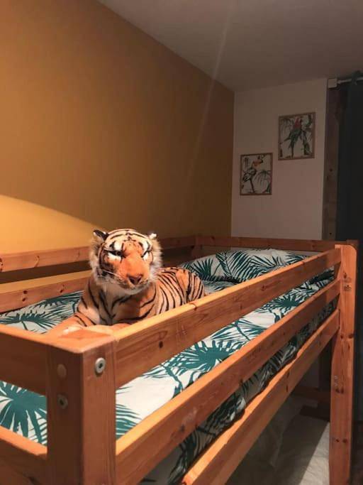 Gîte pour 10 personnes, avec terrasse à Charlieu - 2