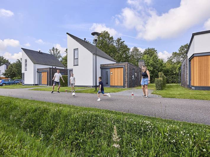 Villa voor 6 personen, met zwembad en tuin in Leudal