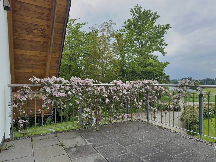 Ferienwohnung für 3 Personen, mit Garten, kinderfreundlich in Deutschland - 4