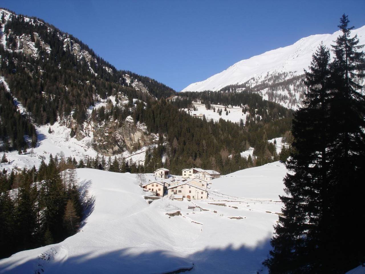 Maiensäss 5.5 Zi sonnig und rustikal in Poschiavo, Livigno Alpen
