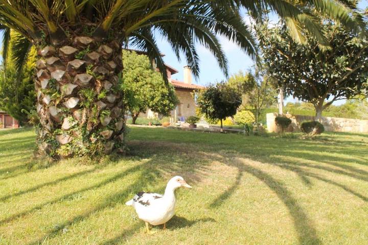 Chambre d’hôte pour 2 personnes, avec vue ainsi que jardin et terrasse dans Asturies