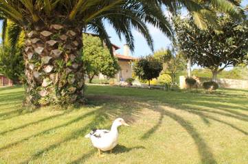 Cottage pour 2 personnes, avec terrasse ainsi que jardin et vue à Villaviciosa