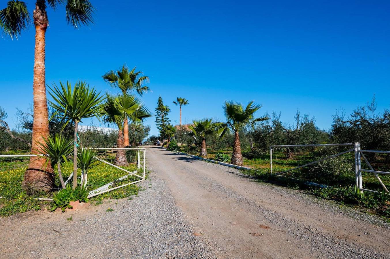Gîte rural « El Paraíso Del Olivar » avec piscine privée, terrasse et climatisation in Bollullos de la Mitación, Province de Séville