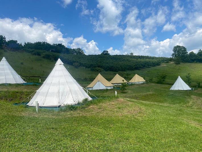 Gîte pour 100 personnes, avec jardin et terrasse, animaux acceptés dans le Tarn-et-Garonne - 3