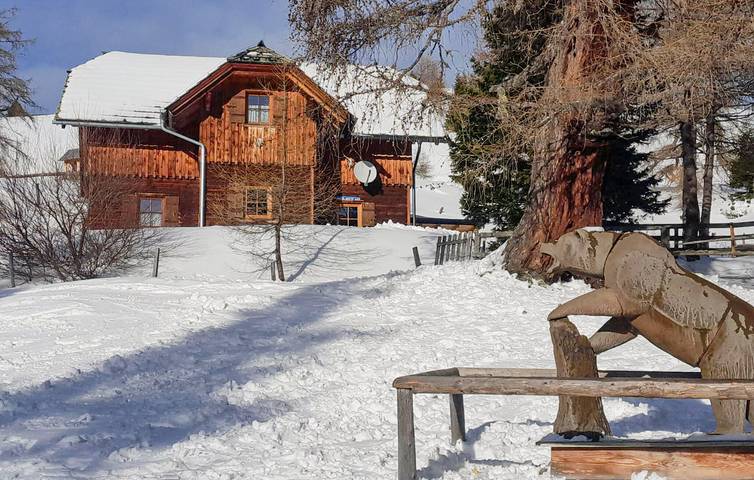 Ferienhaus für 14 Personen, mit Garten und Sauna in der Steiermark - 2