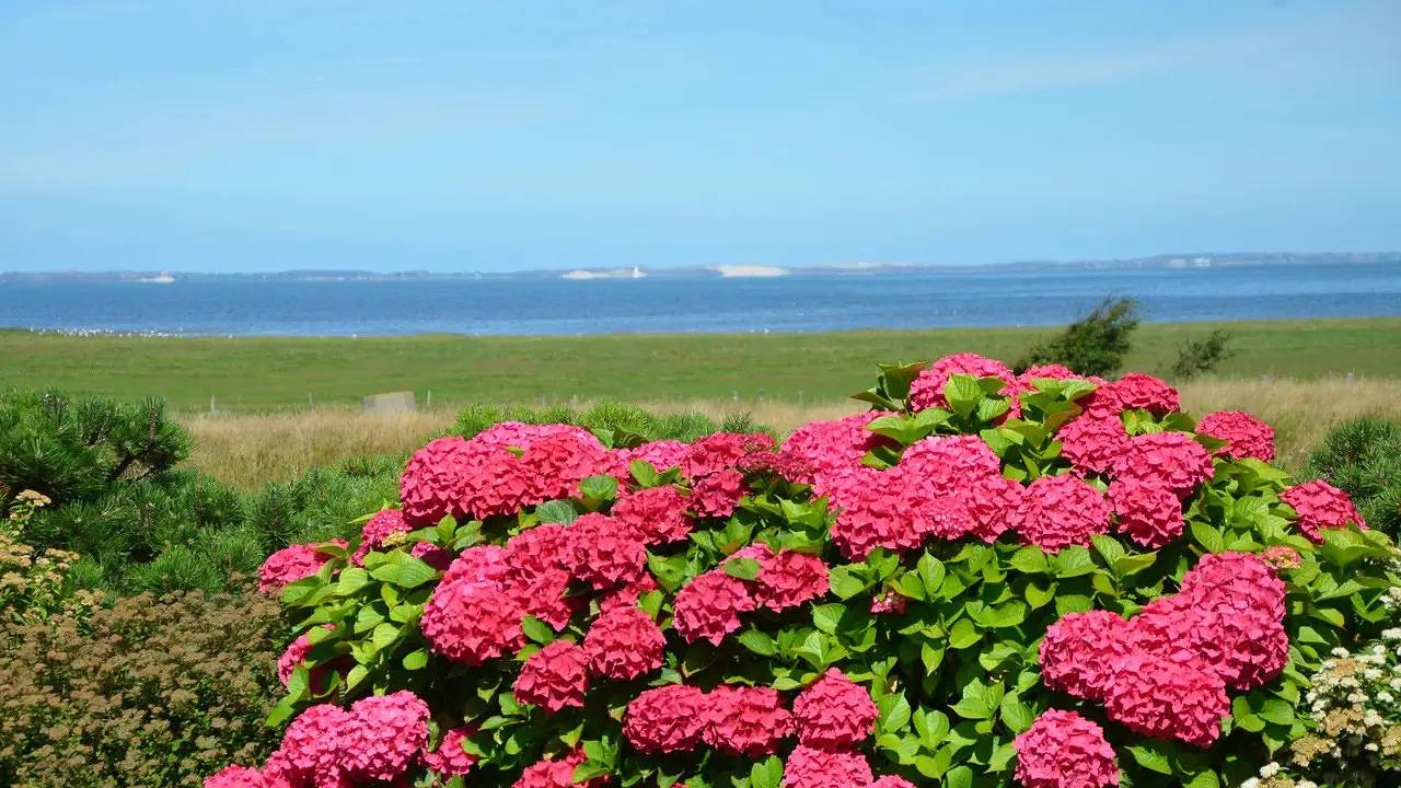 Ferienhaus für 6 Personen (230 m²) in Westerland (Sylt) in Sylt-Ost, Sylt (Gemeinde)