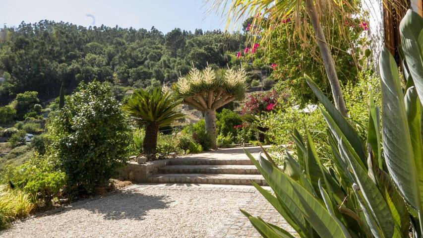 Casa rural para 6 personas, con Balcón además de Terraza y Jardín en Monchique - 4