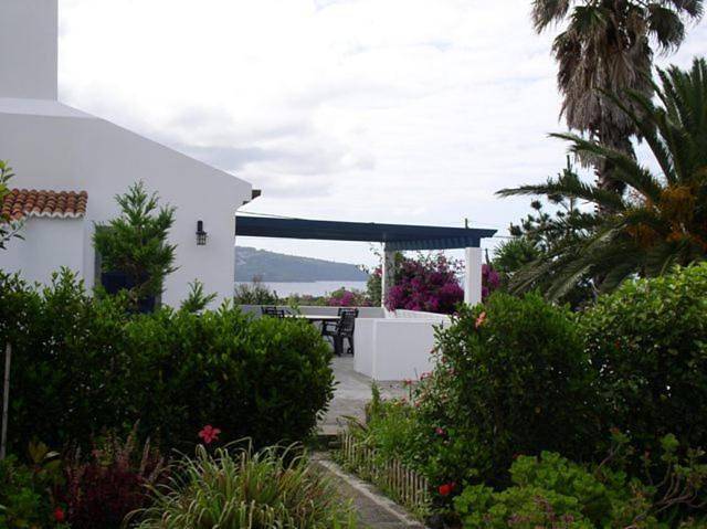 Villa pour 6 personnes, avec jardin et vue, animaux acceptés dans São Miguel - 2