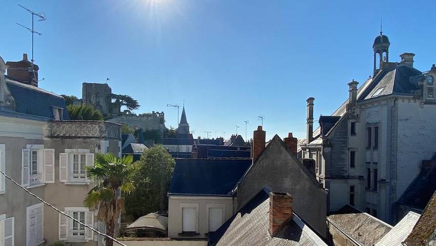 Gîte pour 4 personnes, avec Terrasse et Jardin ainsi que Piscine et Vue dans Montrichard Val de Cher - 3