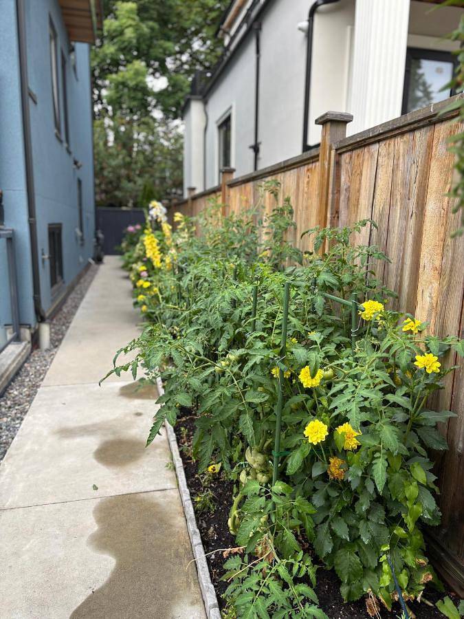 Maison d’hôte pour 2 personnes, avec jardin et jacuzzi à Vancouver - 2