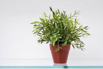 Apartment for 4 People in Amalfi, Amalfi Coast, Photo 1