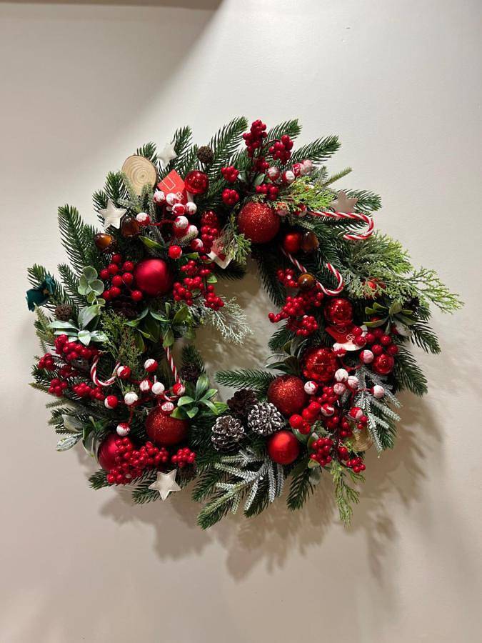 Location de vacances pour 2 personnes, avec jardin à Cadaujac - 4