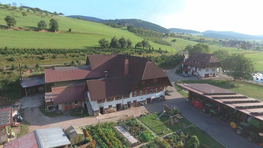 Ferienhaus für 5 Personen, mit Balkon und Balkon/Terrasse sowie Terrasse und Garten in Ortenaukreis - 3