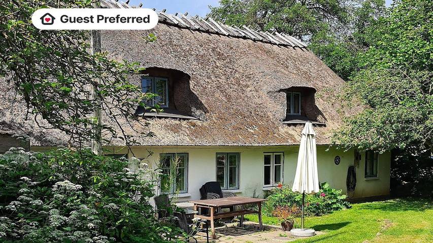 Ferienhaus für 6 Personen, mit Terrasse und Garten in Nørre Kettingskov