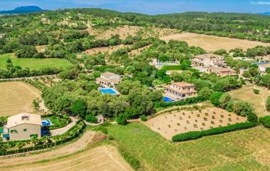 Villa in Petra, Majorca Center für 12 