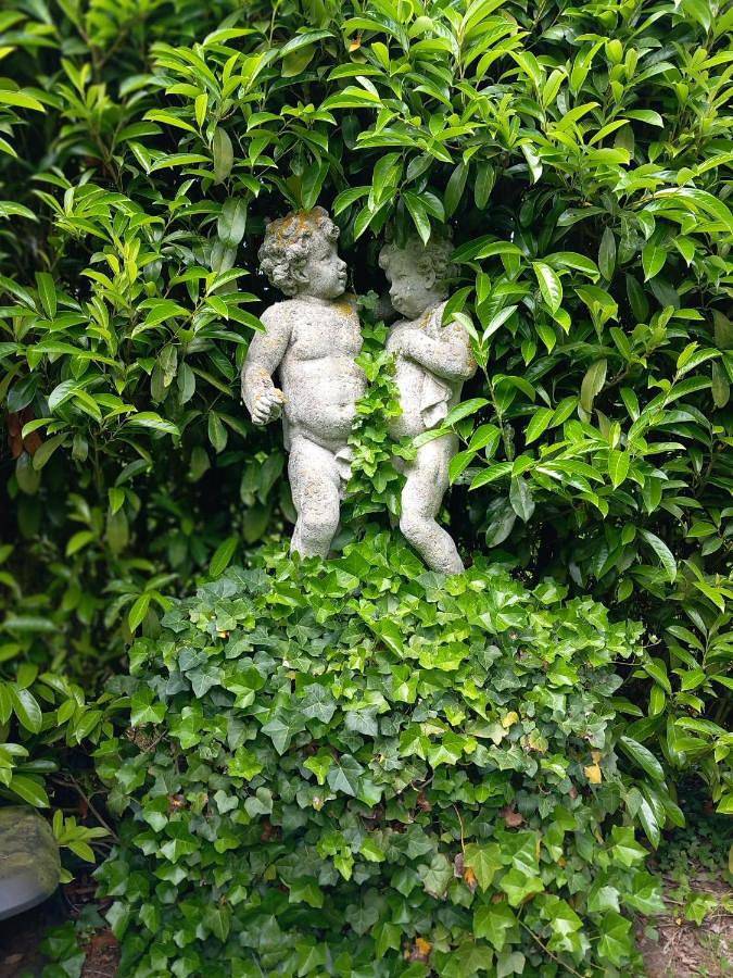 Location de vacances pour 13 personnes, avec bassin pour enfant et piscine ainsi que jardin et vue, animaux acceptés dans Bouquetot - 2