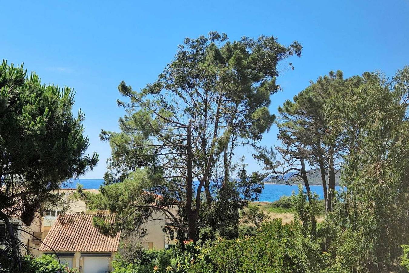 Estudio entero, Studio with sea view in Tiuccia, Calcatoggio