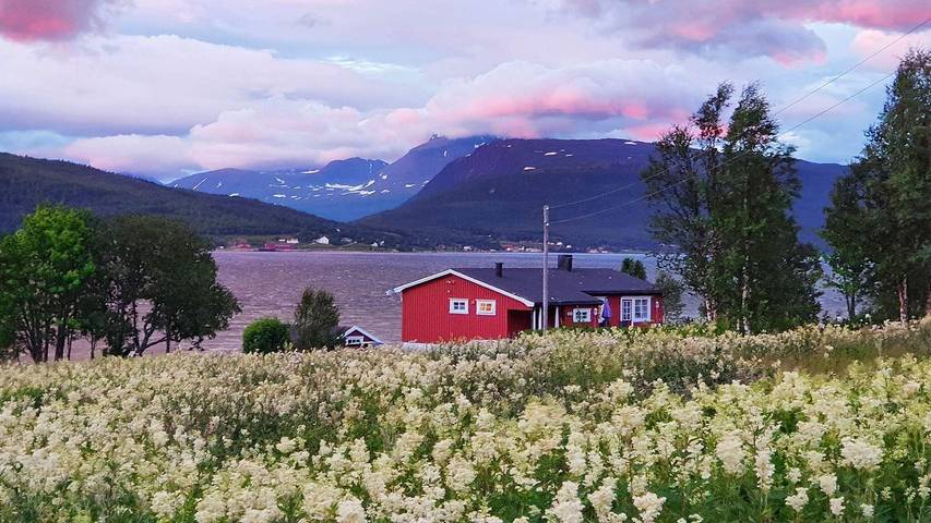 Apartamento para 7 personas, con terraza además de vistas y jardín, Se admiten mascotas en Noruega