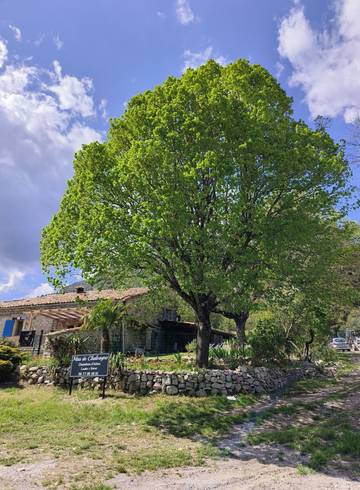 Chambre d’hôte pour 2 personnes, avec jardin dans les Alpes-de-Haute-Provence