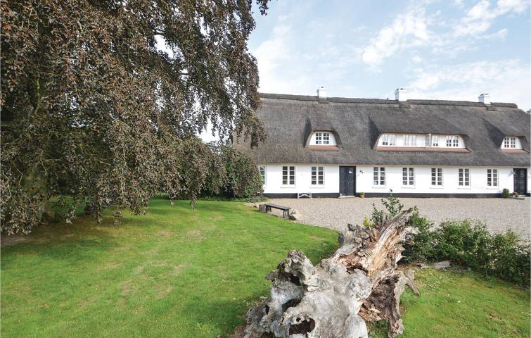 Ferienhaus für 6 Personen, mit Terrasse und Garten sowie Sauna, mit Haustier - 1
