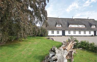 Bauernhof für 6 Personen, mit Garten und Sauna sowie Terrasse, mit Haustier in Dänemark