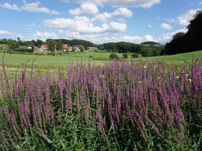 Öttersbach Die Kleine in Poppenhausen, Rhön-Hessen