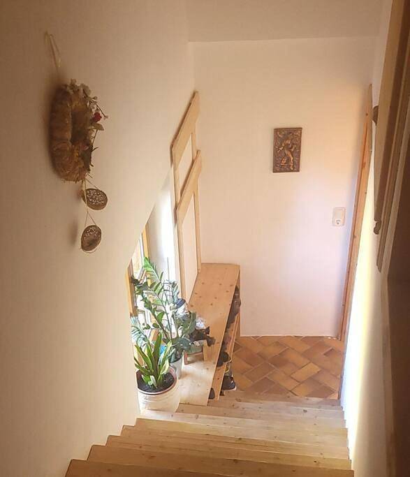 Gîte pour 5 personnes, avec jardin à Bad Tölz - 4