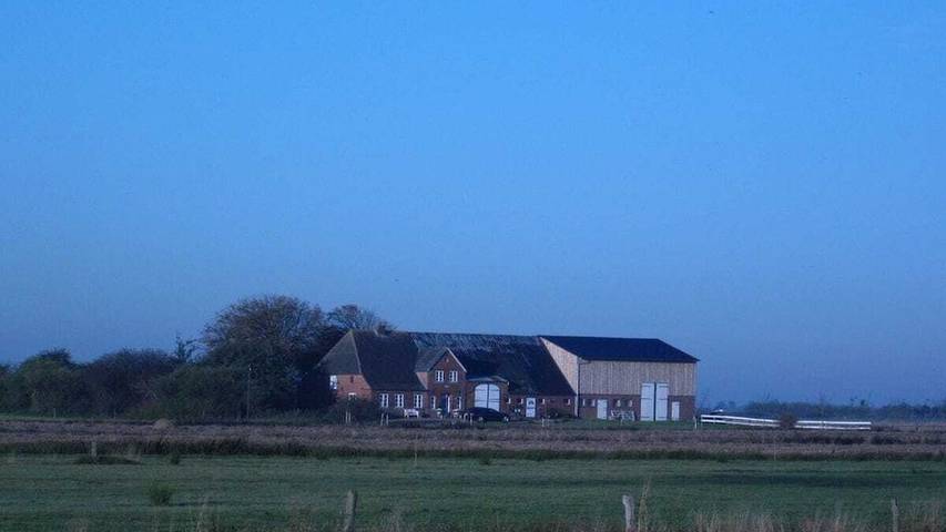 Ferienhaus für 4 Personen, mit Terrasse und Sauna in Hattstedtermarsch - 2