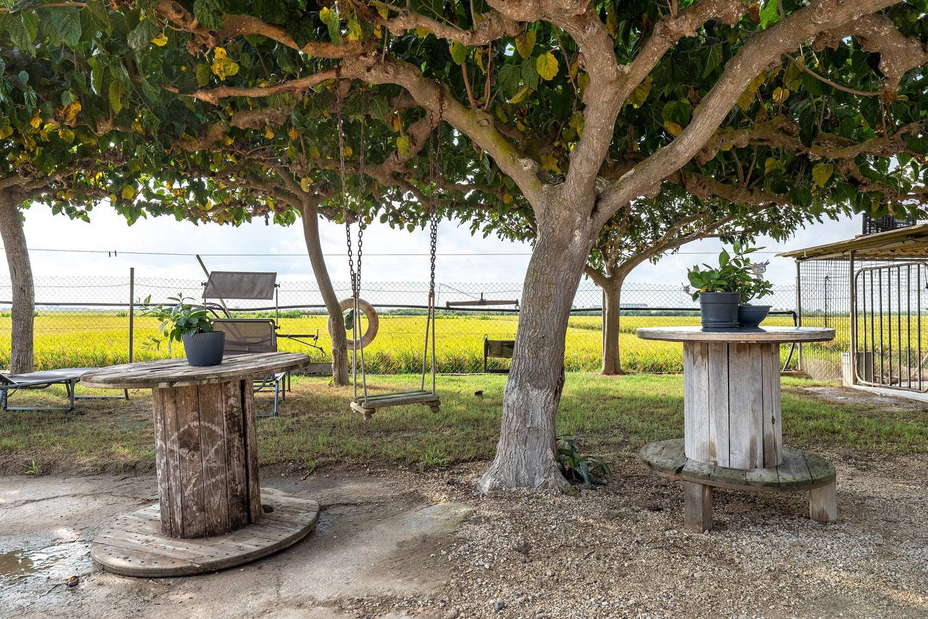Maison de campagne "Caseta Montanyana" avec terrasse privée, jardin privé et Wi-Fi in Terres de l'Èbre, Delta de l'Ebre