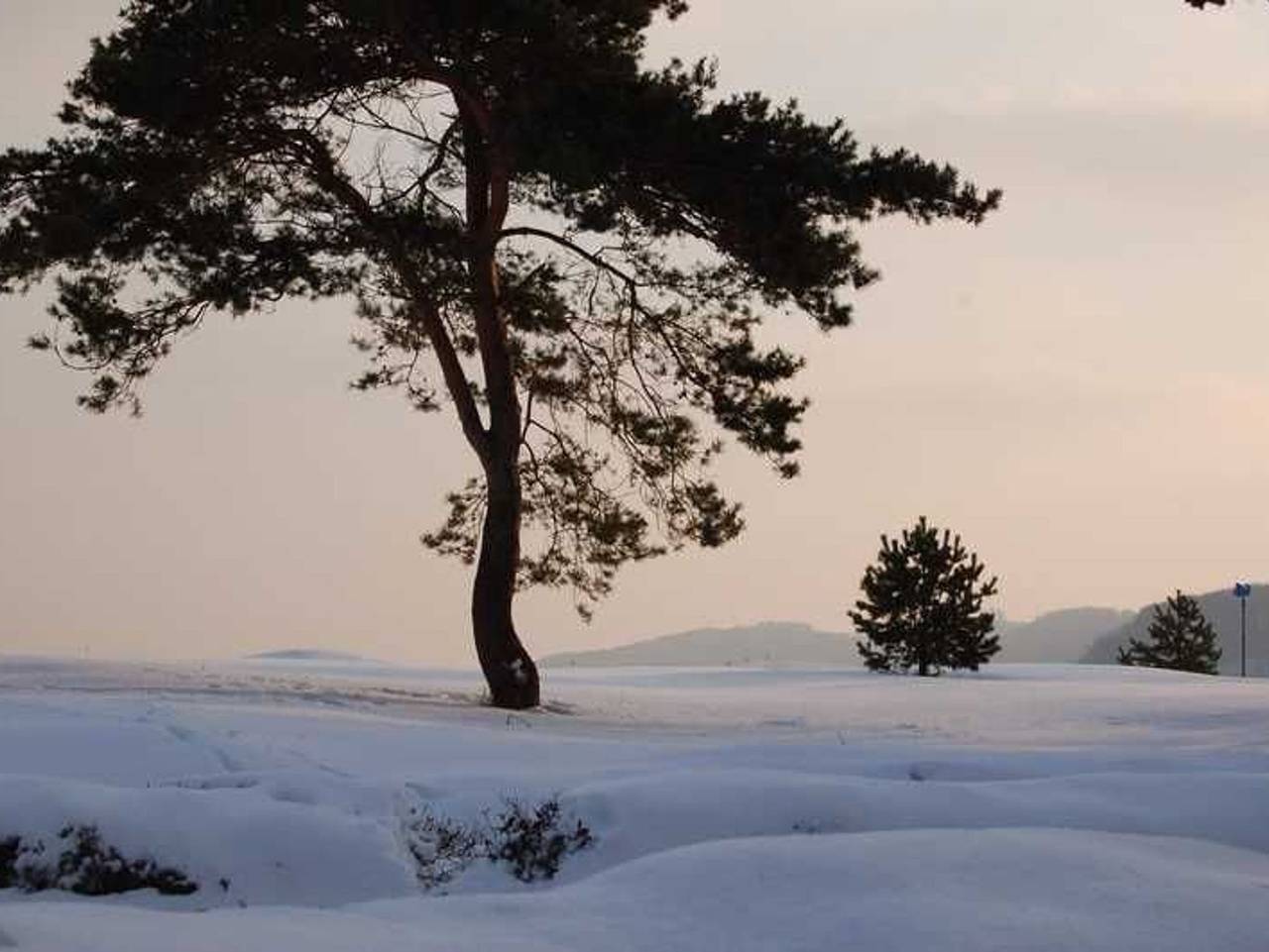 Ganze Ferienwohnung, ! Neu ! Ferienhaus Binz - Ferienwohnung 3 in Binz, Rügen